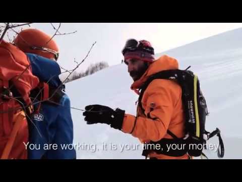 ქართველი გიდი ტურისტებს აგინებს