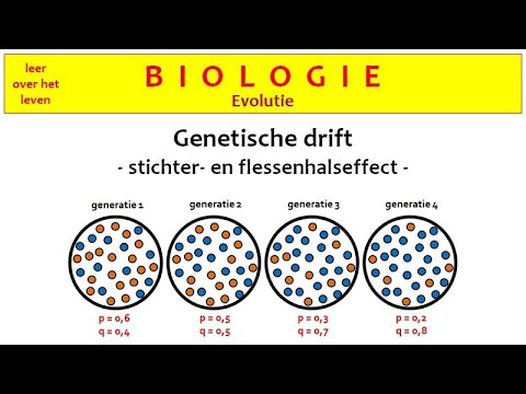 Video: Verschil Tussen Genetische Drift En Genstroom