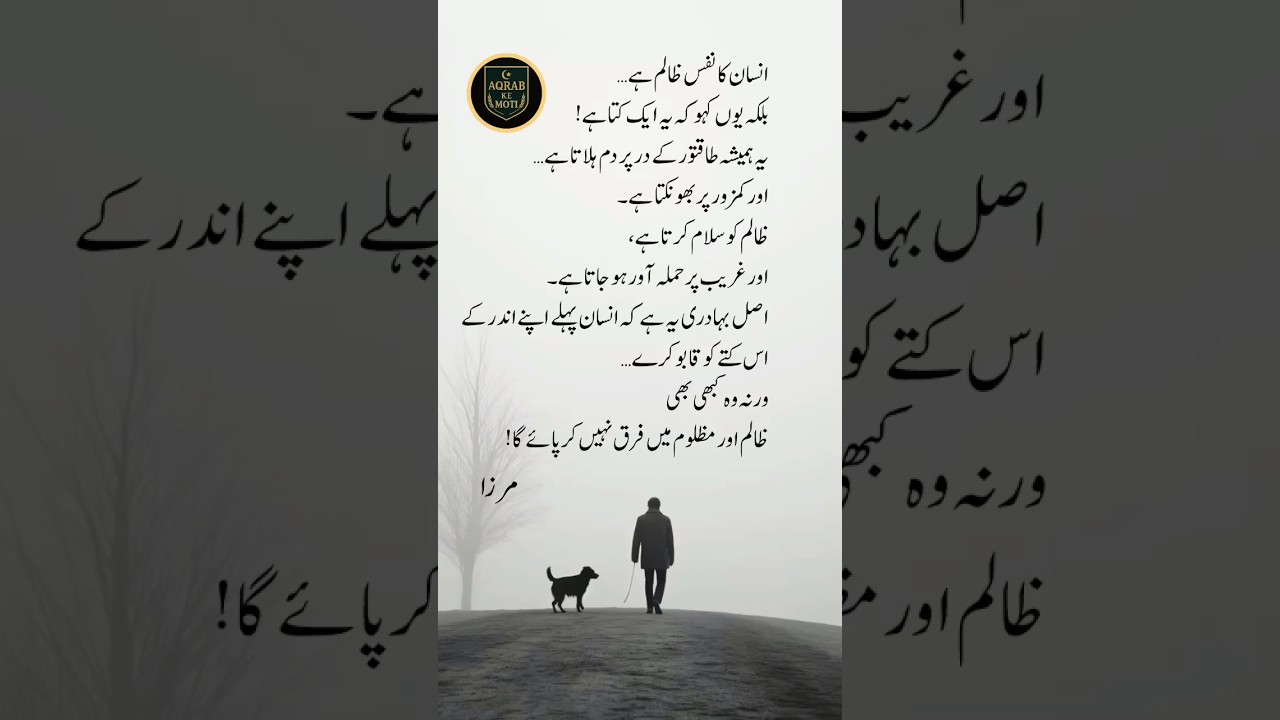 Urdu lines 💯 mashup 🌹💔👀