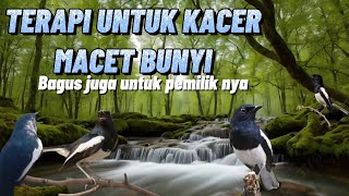 Download Lagu SUARA KACER DAN SERULING MERDU ( bagus untuk terapi Kacer macet bunyi dan tuan nya..🙂) ⁉️ MP3 Download Lagu SUARA KACER DAN SERULING MERDU ( bagus untuk terapi Kacer macet bunyi dan tuan nya..🙂) ⁉️ MP3