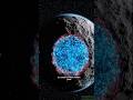 Ancient Gas Escapes From Earth’s Core