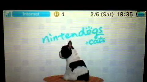 Let's play Nintendo Dogs and Cats