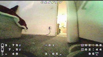 FPV 310 - Test Beta65x stock, swap to my printed 75mm Frame