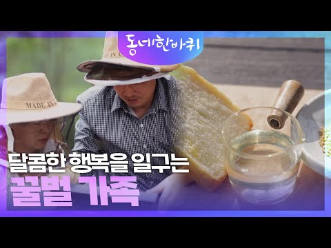 달콤한 행복을 일구는 꿀벌 가족 [동네 한 바퀴] | KBS 240629 방송