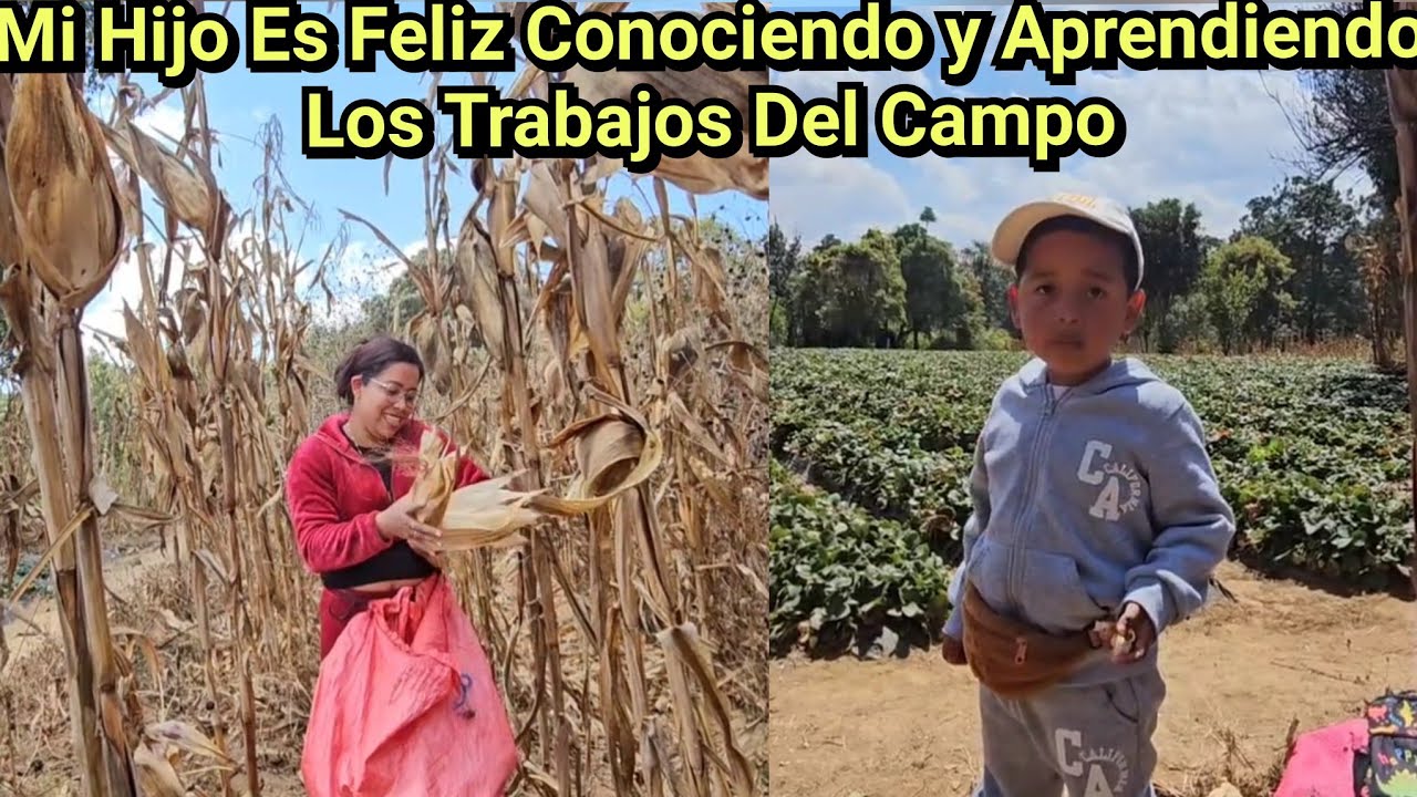 🚨😱 Este Trabajo Hacía Yo Desde Niña Con Mis Padres y Hermanas