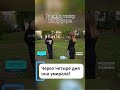 ❗️🥺Борьба за жизнь маленького Миши #ветклиники #беларусьновости