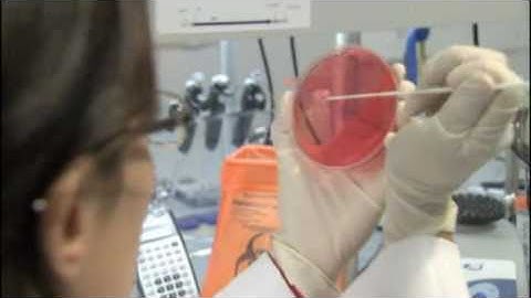 Scientists create artificial life by constructing 