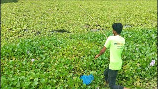 Unbelievable Fishing Video | Amazing Fishing by hook in River | Traditional Fishing Video