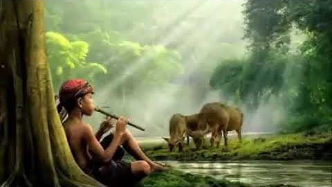 Lir ilir dan terjemahan,  lagu paling syahdu karya sunan kalijaga