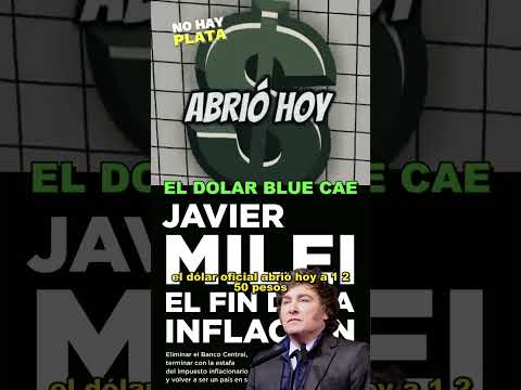 Milei tenía razon,