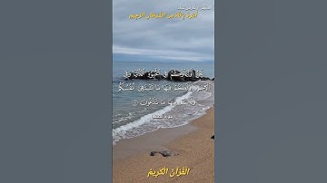 🌺القرآن الكريم 🌺ما تيسر من سورة فصلت