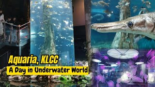Aquaria, KLCC - A Day in Underwater World