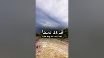 أيات من سورة يس قرأن كريم hollyquran