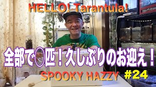 HELLO!Tarantula!#24 全部で◯匹！久々のお迎え！