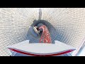 Launch through the ROOF! Turbo Track Coaster POV at Ferrari World Abu Dhabi