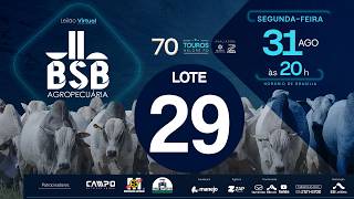 29 - LEILÃO VIRTUAL GENÉTICA TOUROS BSB AGROPECUÁRIA 31/08/2026