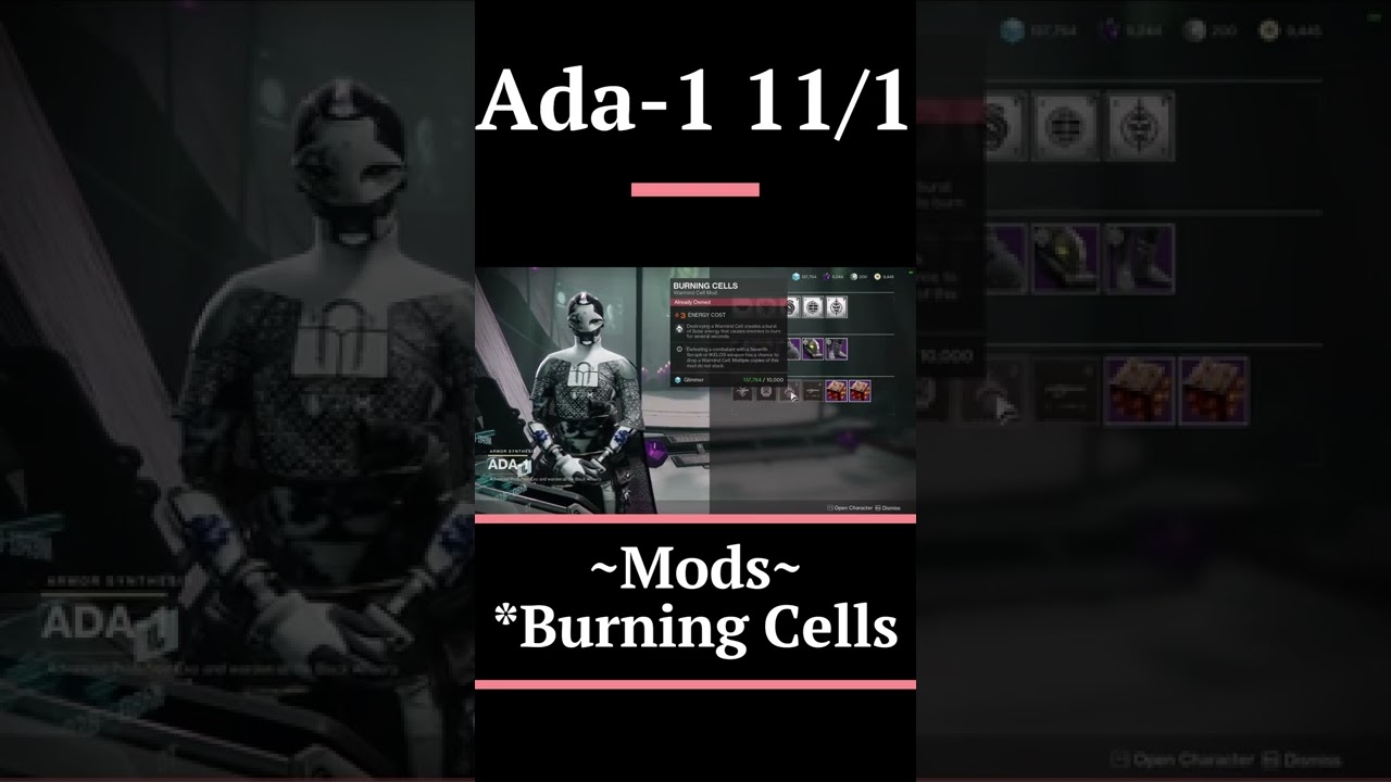 Ada-1 Mods Today 11/1 | Destiny 2