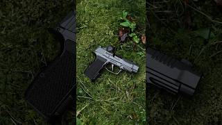 Flattest shooting .380 (SIG P365 LUXE)