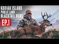 BLADED BLACKTAIL BUCK on KODIAK ISLAND! | PUBLIC LAND | SITKA BLACKTAIL