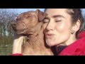 Blossom Lakeland Terrier の動画、YouTube動画。