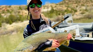 New Mexico State Record Brown Trout Caught on The San Juan River