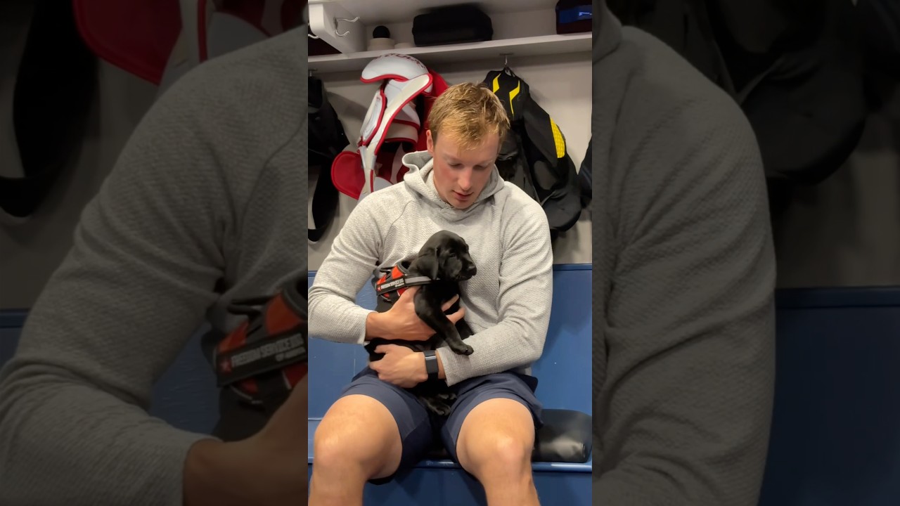 Avalanche Puppy Day 🐶