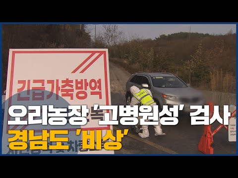 &amp;#39;AI 확산&amp;#39; 경남 첫 농장 의심 사례 발견