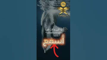 ﴿ وَذَا النُّونِ إِذ ذَّهَبَ مُغَاضِبًا فَظَنّ أَن لَّن نَّقْدِر عليه #سورة_الأنبياء #قرآن #اكسبلور