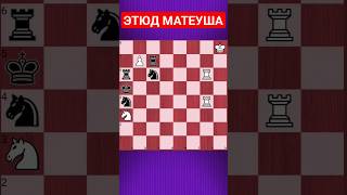 💥КОНЬ-ОГОНЬ #chesspuzzle #шахматныезадачи #шахматы #chess