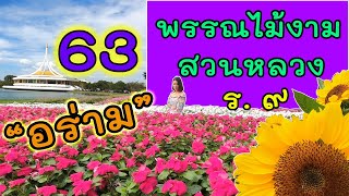 Beautiful flowers at Suanluang Rama 9 พรรณไม้งามอร่ามสวนหลวง ดอกทิวลิป ดอกทานตะวัน จุดพลุ ตลาดน้ำ 63