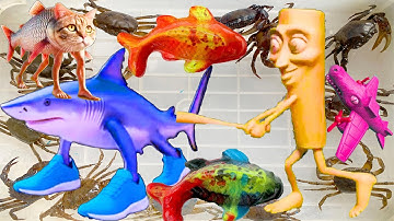 Tổng hợp các video hay nhất: kem ốc chanel ra bờ ao câu cá, cá mập Baby Shar, Italian Brainrot, cua.