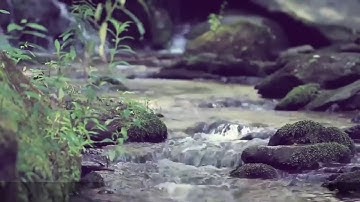 (واصحاب اليمين ما اصحاب اليمين) لاوة عذبه للقارئ احمد نبيل قراءة عن _نافع المدني