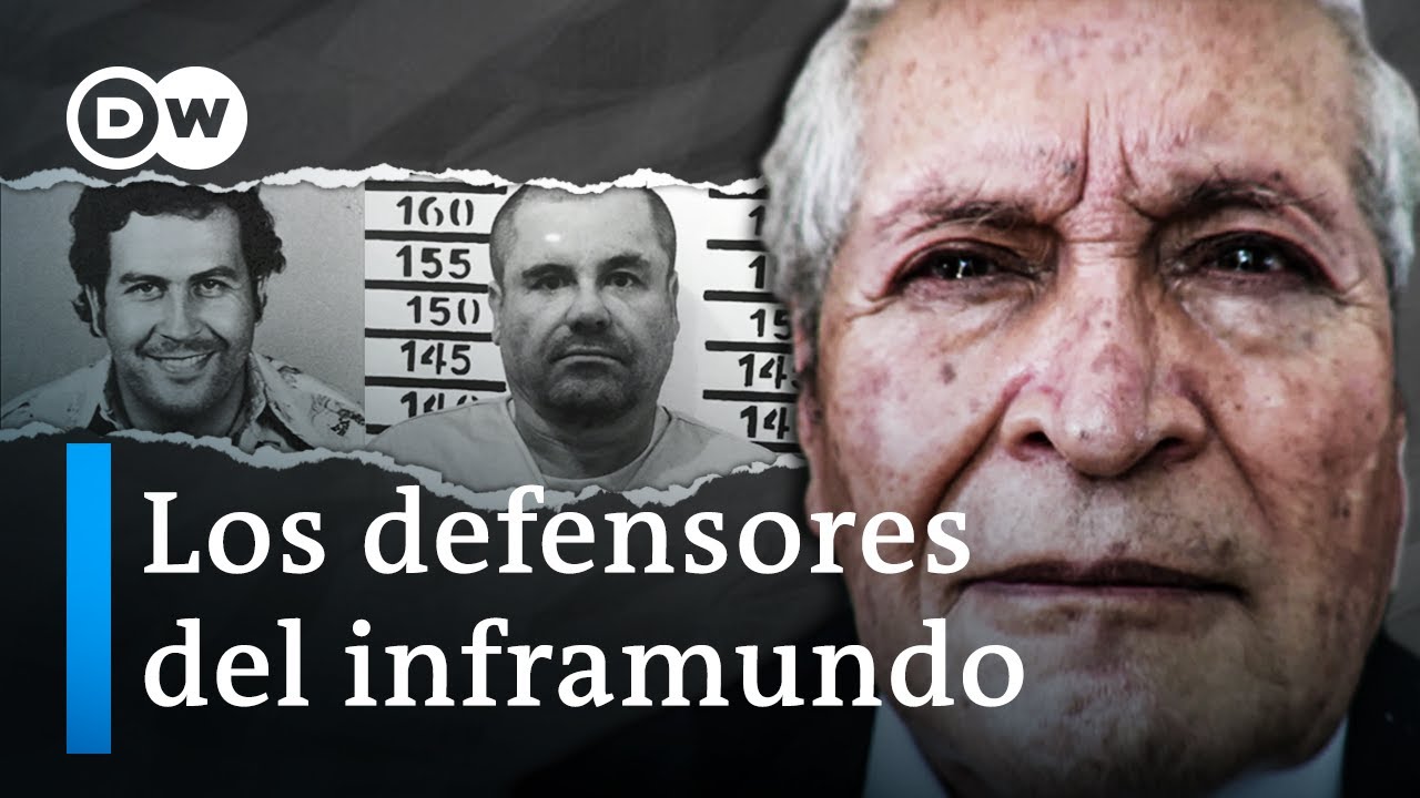 Los narcoabogados detrás de los cárteles de la droga en México y Colombia | DW Documental