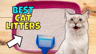 The BEST Cat Litters of 2023 (Expert Recommended)
