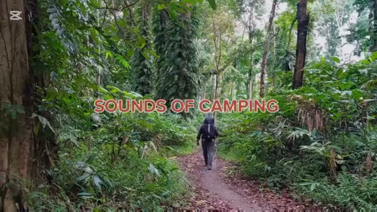 SOLO CAMPING IN RAIN STORM - SHELTER IN A TENT - STRONG WINDS - ASMR