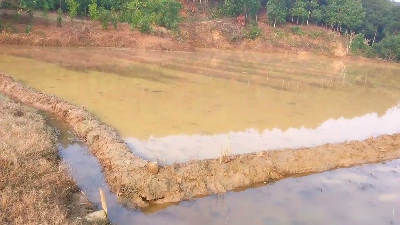 Lại tiếp tục cày bừa vào vụ mới