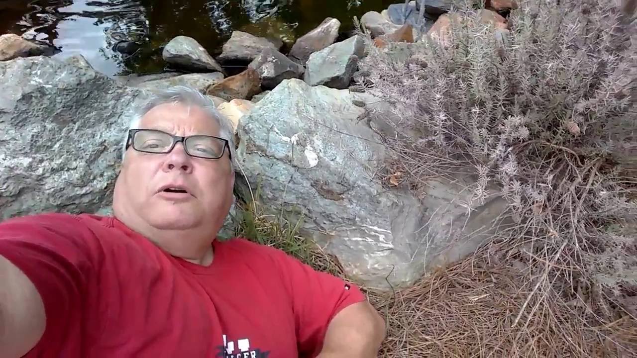 REAL ESTATE AGENT COBB COUNTY LET ME HELP YOU! YouTube