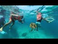 Swimming with turtle on Similan Islands