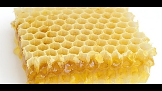 ما هي فوائد شمع العسل
