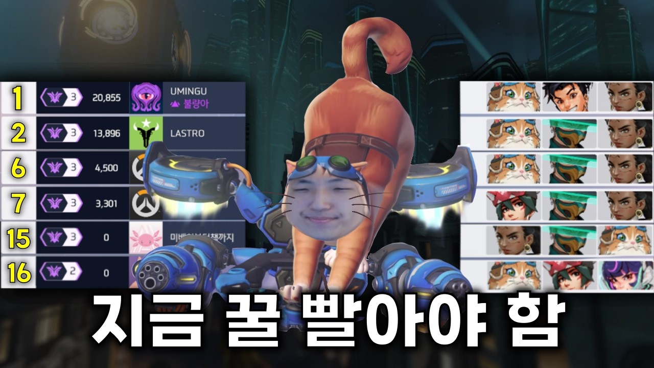 현시점 점수 가장 올리기 쉬운 '제트캣 팩' 운영법