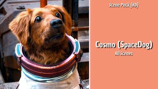 Cosmo The SpaceDog ||Scene Pack with Mega Link + Extra Link of Funny Moments from GOTG 3|| [HD]