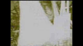 Nindra Nai Aundiyaan (Official Video) Singer - Anamika