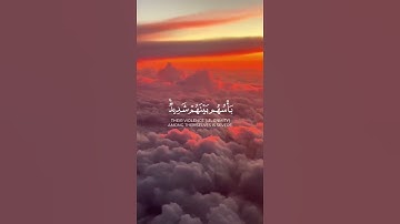 ما تيسر من سورة الحشر | القرآن الكريم | القارئ ماهر المعيقلي