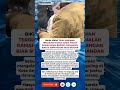 Kebiasaan Orang CHINA YangWajib DiContoh Warga KONOHA #viral #faktamenarik #inspiration #shorts #fyp