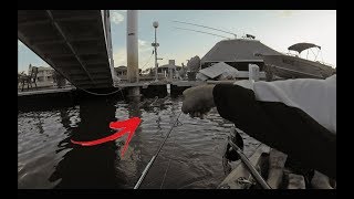 HOW TO CATCH BREAM | Fishing Soft Plastics In Canals. screenshot 1