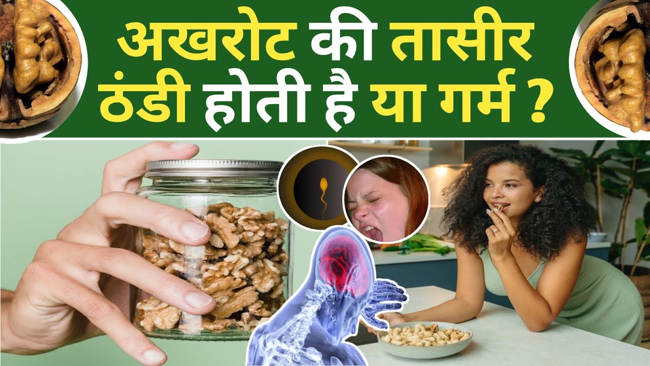 Akhrot Ki Taseer |अखरोट की तासीर ठंडी या गर्म |अखरोट खाने के फायदे ...