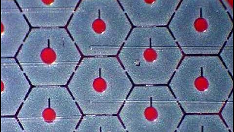 Electrofluidic Display Technology at UC