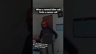 What The Natural Killer Cell Does