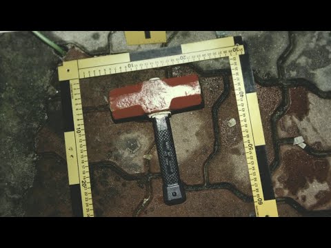 The Raincoat Killer: Chasing a Predator in Korea - Trailer - Netflix