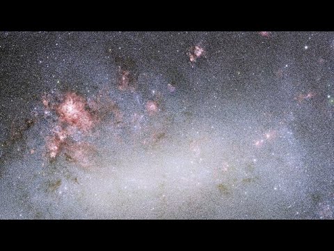 Pan Large Magellanic Clouds (LMC)